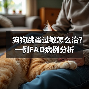 狗狗跳蚤过敏怎么治？一例FAD病例分析(图2)