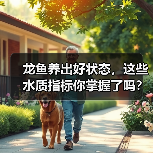 龙鱼养出好状态,这些水质指标你掌握了吗?(图3) 龙鱼养出好状态,这些水质指标你掌握了吗?(图3)