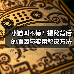 小猫叫不停？揭秘背后的原因与实用解决方法(图3)