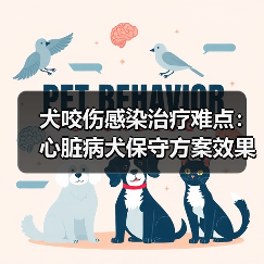 犬咬伤感染治疗难点：心脏病犬保守方案效果分析(图3)