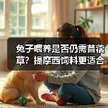 兔子喂养是否仍需苜蓿草?提摩西饲料更适合吗?(图3) 兔子喂养是否仍需苜蓿草?提摩西饲料更适合吗?(图3)