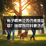 兔子喂养是否仍需苜蓿草?提摩西饲料更适合吗?(图4) 兔子喂养是否仍需苜蓿草?提摩西饲料更适合吗?(图4)