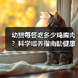 幼猫每餐吃多少鸡胸肉？科学喂养指南助健康成长(图3)
