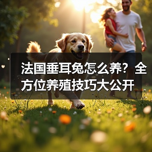 法国垂耳兔怎么养?全方位养殖技巧大公开(图1) 法国垂耳兔怎么养?全方位养殖技巧大公开(图1)