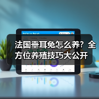 法国垂耳兔怎么养?全方位养殖技巧大公开(图4) 法国垂耳兔怎么养?全方位养殖技巧大公开(图4)
