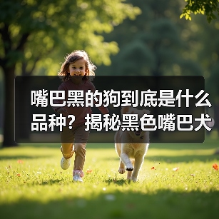 嘴巴黑的狗到底是什么品种？揭秘黑色嘴巴犬的身份之谜(图3)
