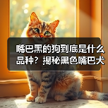嘴巴黑的狗到底是什么品种？揭秘黑色嘴巴犬的身份之谜(图4)
