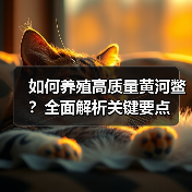 如何养殖高质量黄河鳖?全面解析关键要点(图2) 如何养殖高质量黄河鳖?全面解析关键要点(图2)