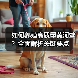 如何养殖高质量黄河鳖?全面解析关键要点(图4) 如何养殖高质量黄河鳖?全面解析关键要点(图4)