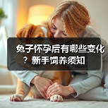 兔子怀孕后有哪些变化？新手饲养须知