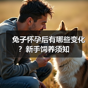 兔子怀孕后有哪些变化？新手饲养须知(图3)