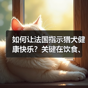 如何让法国指示猎犬健康快乐？关键在饮食、训练与社交化(图2)