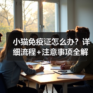 小猫免疫证怎么办？详细流程+注意事项全解析