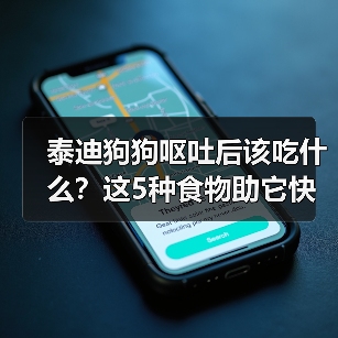 泰迪狗狗呕吐后该吃什么?这5种食物助它快速恢复(图2) 泰迪狗狗呕吐后该吃什么?这5种食物助它快速恢复(图2)