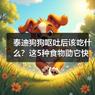 泰迪狗狗呕吐后该吃什么?这5种食物助它快速恢复(图3) 泰迪狗狗呕吐后该吃什么?这5种食物助它快速恢复(图3)