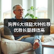 狗界6大细腿犬种推荐，优雅长腿颜值高(图4)