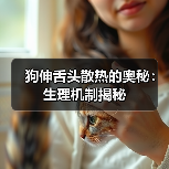 狗伸舌头散热的奥秘：生理机制揭秘