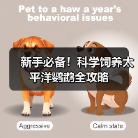 新手必备!科学饲养太平洋鹦鹉全攻略(图1) 新手必备!科学饲养太平洋鹦鹉全攻略(图1)