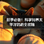 新手必备!科学饲养太平洋鹦鹉全攻略(图3) 新手必备!科学饲养太平洋鹦鹉全攻略(图3)