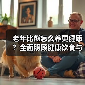 老年比熊怎么养更健康?全面照顾健康饮食与运动(图2) 老年比熊怎么养更健康?全面照顾健康饮食与运动(图2)