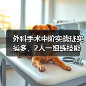 外科手术中阶实战班实操多，2人一组练技能提升快