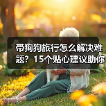 带狗狗旅行怎么解决难题？15个贴心建议助你轻松出行(图3)