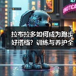 拉布拉多如何成为跑步好搭档?训练与养护全攻略(图3) 拉布拉多如何成为跑步好搭档?训练与养护全攻略(图3)