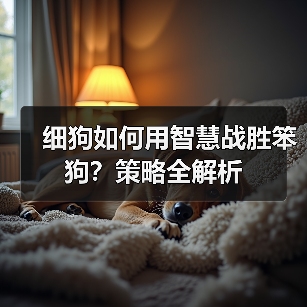 细狗如何用智慧战胜笨狗？策略全解析