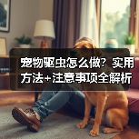宠物驱虫怎么做?实用方法+注意事项全解析(图2) 宠物驱虫怎么做?实用方法+注意事项全解析(图2)