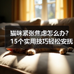 猫咪紧张焦虑怎么办？15个实用技巧轻松安抚(图3)