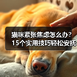 猫咪紧张焦虑怎么办？15个实用技巧轻松安抚(图4)