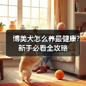 博美犬怎么养最健康？新手必看全攻略(图4)