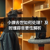 小猫去世如何处理？及时埋葬重要性解析