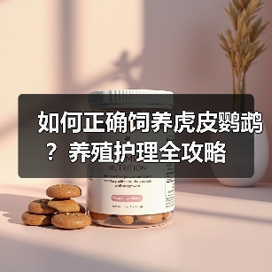如何正确饲养虎皮鹦鹉？养殖护理全攻略(图2)