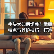 牛头犬如何饲养?掌握特点与养护技巧,打造健康活泼宠物生活(图4) 牛头犬如何饲养?掌握特点与养护技巧,打造健康活泼宠物生活(图4)