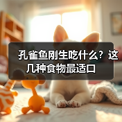 孔雀鱼刚生吃什么？这几种食物最适口