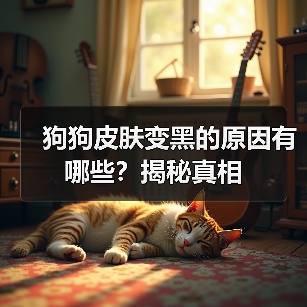 狗狗皮肤变黑的原因有哪些?揭秘真相(图2) 狗狗皮肤变黑的原因有哪些?揭秘真相(图2)