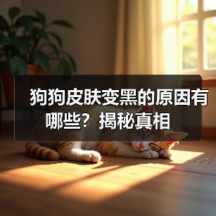 狗狗皮肤变黑的原因有哪些?揭秘真相(图4) 狗狗皮肤变黑的原因有哪些?揭秘真相(图4)
