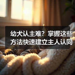 幼犬认主难？掌握这些方法快速建立主人认同感并适应新环境