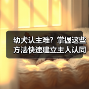 幼犬认主难?掌握这些方法快速建立主人认同感并适应新环境(图3) 幼犬认主难?掌握这些方法快速建立主人认同感并适应新环境(图3)