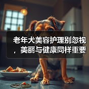 老年犬美容护理别忽视,美丽与健康同样重要(图2) 老年犬美容护理别忽视,美丽与健康同样重要(图2)