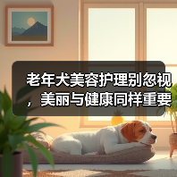 老年犬美容护理别忽视,美丽与健康同样重要(图3) 老年犬美容护理别忽视,美丽与健康同样重要(图3)