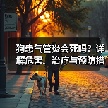 狗患气管炎会死吗？详解危害、治疗与预防措施
