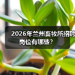 2026年兰州畜牧所招聘岗位有哪些？