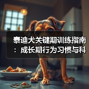 泰迪犬关键期训练指南:成长期行为习惯与科学养护(图3) 泰迪犬关键期训练指南:成长期行为习惯与科学养护(图3)