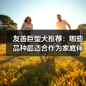友善巨型犬推荐：哪些品种最适合作为家庭伴侣？(图3)