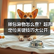 脓包异物怎么查？超声定位关键技巧大公开
