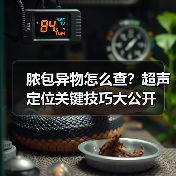 脓包异物怎么查?超声定位关键技巧大公开(图4) 脓包异物怎么查?超声定位关键技巧大公开(图4)