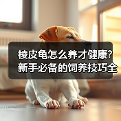 棱皮龟怎么养才健康?新手必备的饲养技巧全在这了!(图1) 棱皮龟怎么养才健康?新手必备的饲养技巧全在这了!(图1)