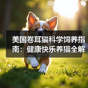美国卷耳猫科学饲养指南:健康快乐养猫全解析(图3) 美国卷耳猫科学饲养指南:健康快乐养猫全解析(图3)